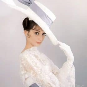 Audrey Hepburn In A White Hat Paint By Numbers.png