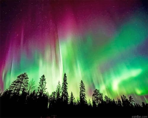 Aurora Borealis Trees Silhouette New Paint By Number.png