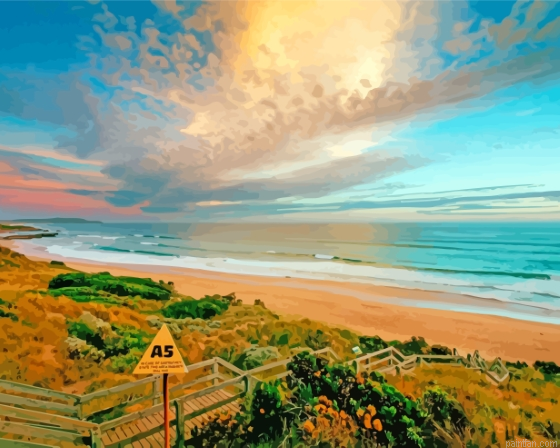 Australia Phillip Island Paint By Numbers.png