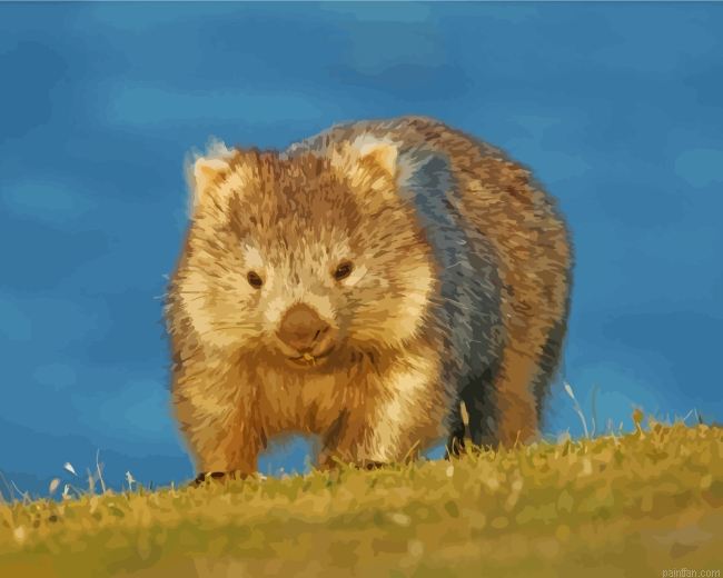 Australia Wombat Paint By Number.png