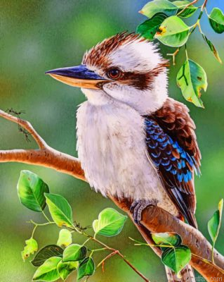 Australian Bird Kookaburra Paint By Numbers.png