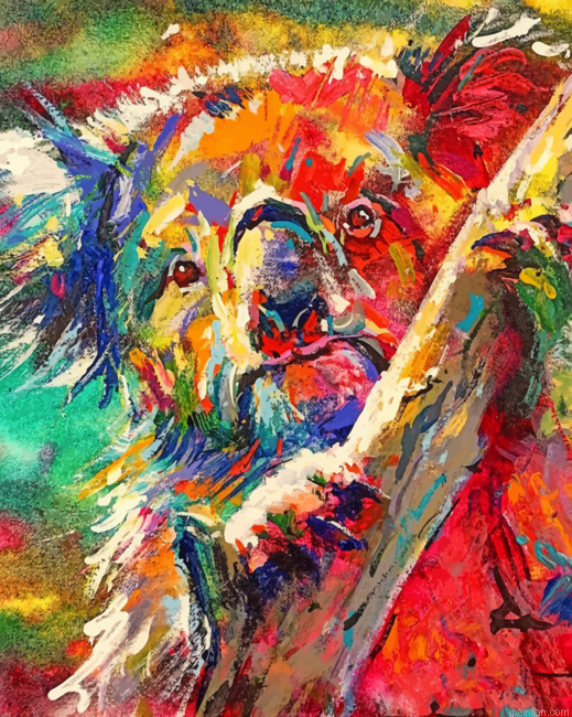 Australian Colorful Koala Paint By Number.png