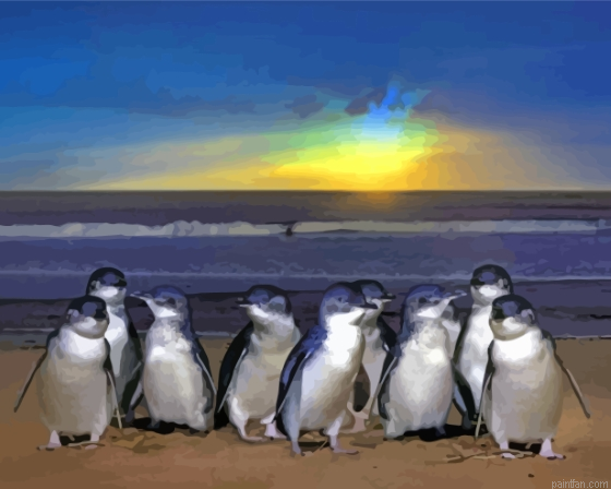 Australian Fairy Penguin Paint By Numbers.png