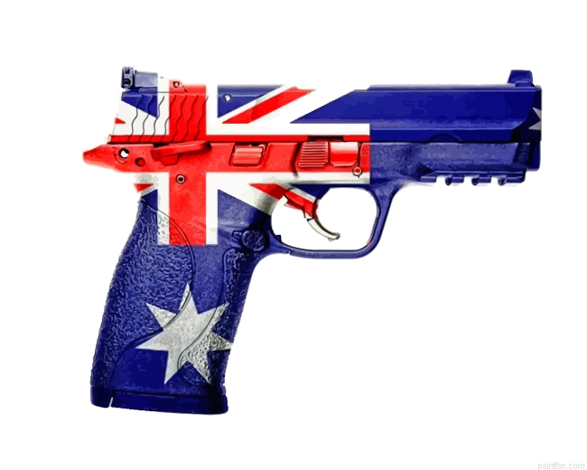 Australian Gun Paint By Number.png