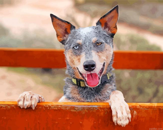 Australian Heeler Paint By Number.png