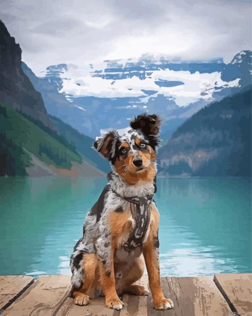 Australian Shepherd Dog Paint By Numbers.png
