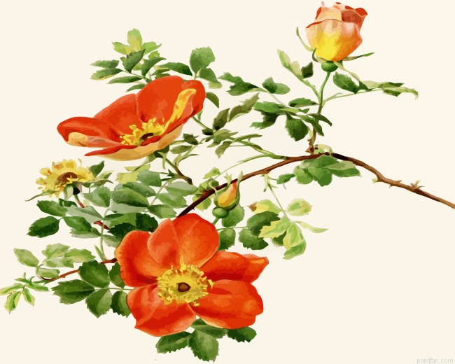 Austrian Briar Paint By Number.png