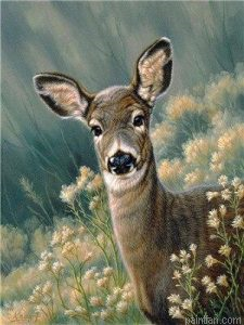 Autumn Fawn Paint By Numbers.png