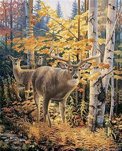 Autumn Forest Paint By Numbers.png