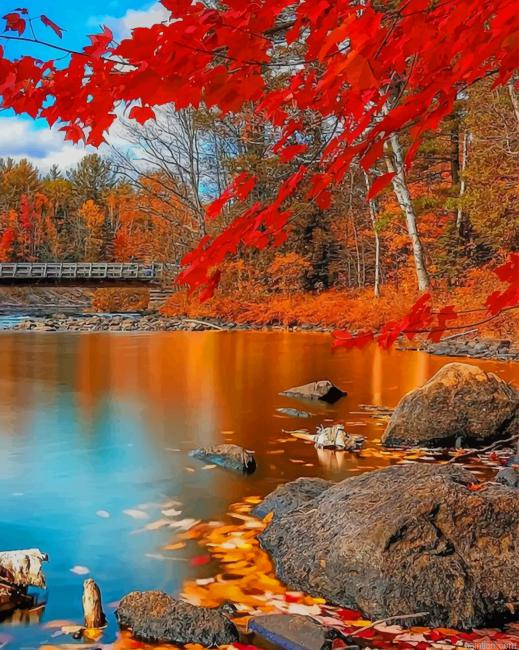 Autumn Nature New Paint By Numbers.png