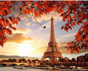 Autumn Paris Paint By Numbers.png