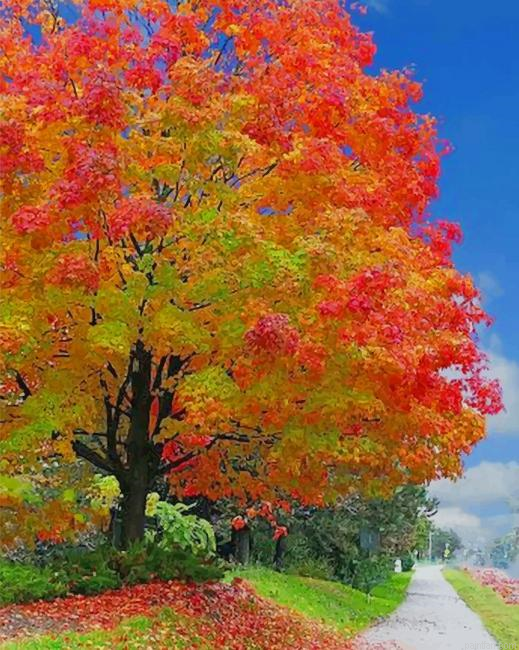 Autumn Scenery New Paint By Numbers.png