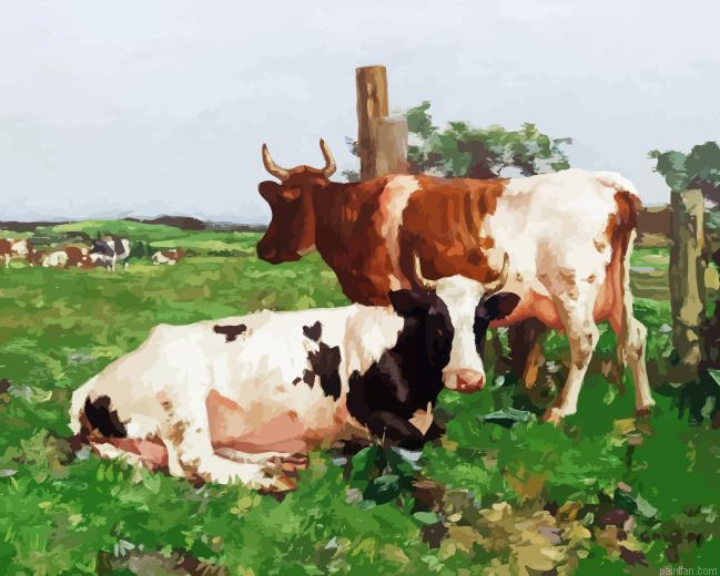 Ayrshire Cows Paint By Numbers.png