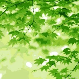 Ayurvedic Green Paint By Numbers.png