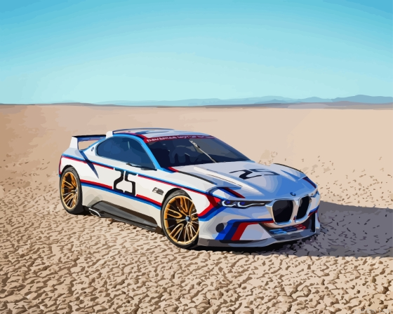 Bmw Race Car Paint By Numbers.png