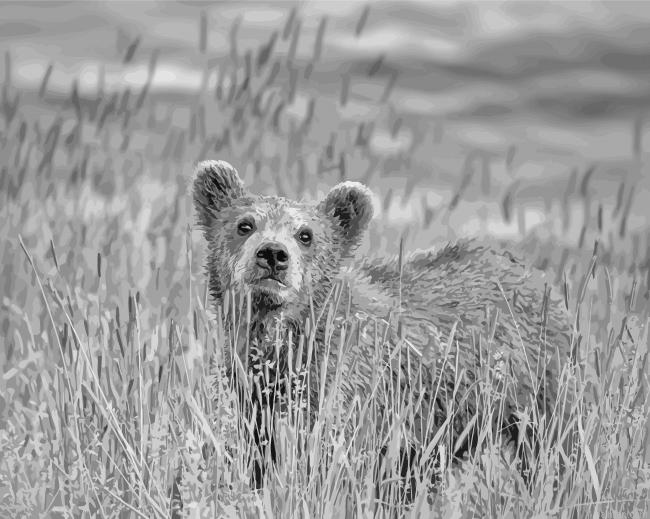 Baby Bear Paint By Numbers.png