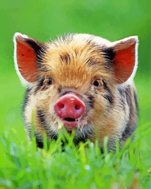 Baby Boar Paint By Number.png
