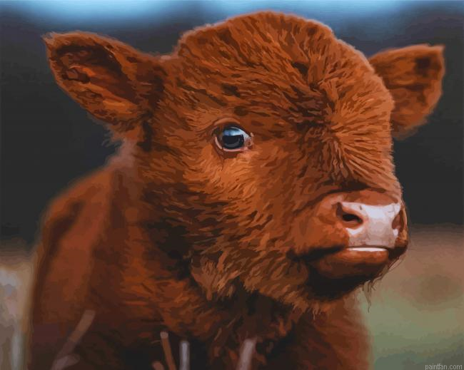 Baby Brown Cow Paint By Numbers.png