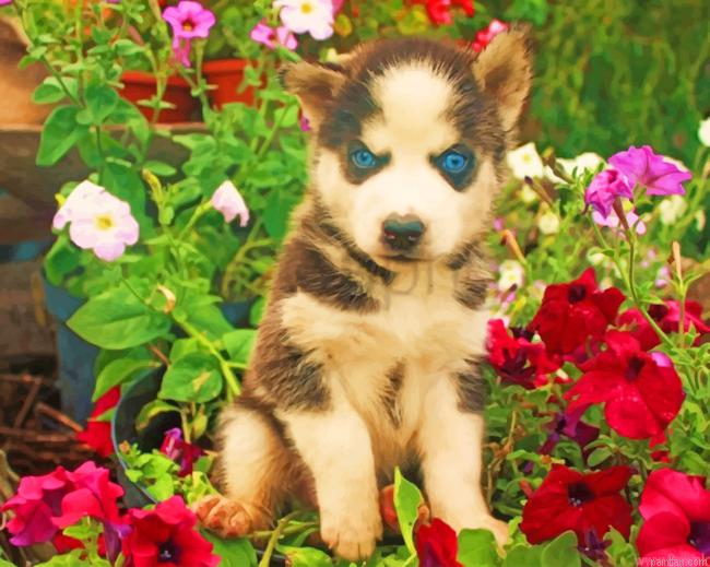 Baby Dog Face Flowers Paint By Numbers.png