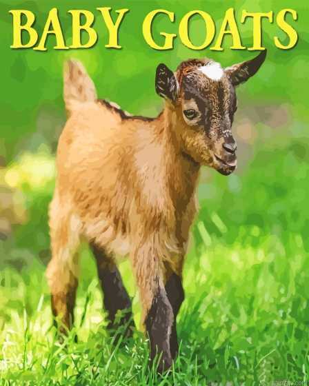 Baby Goat Poster Paint By Numbers.png