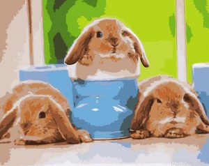 Baby Rabbits Paint By Numbers.png