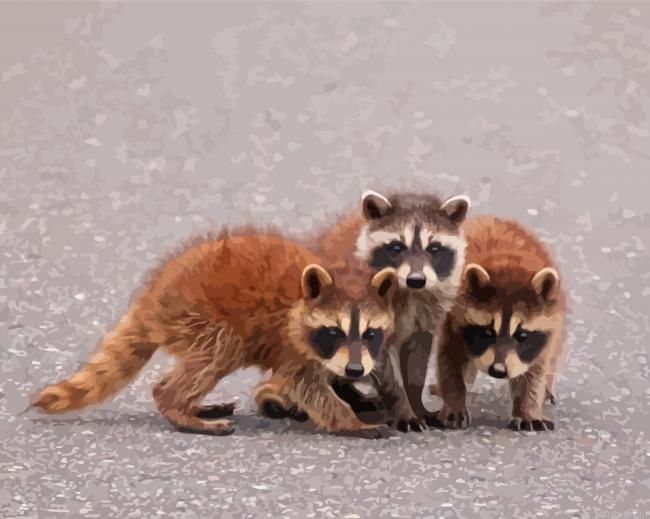 Baby Raccoons Paint By Numbers.png