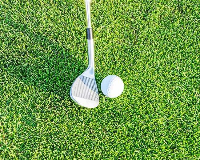 Ball With Golf Club New Paint By Numbers.png