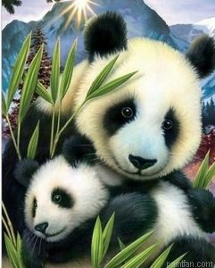 Bamboo Panda Paint By Numbers.png