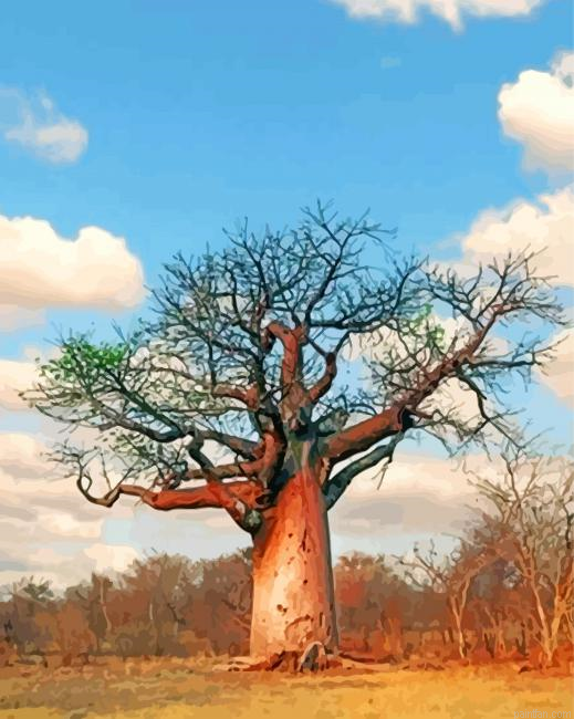 Baobab Tree Paint By Number.png