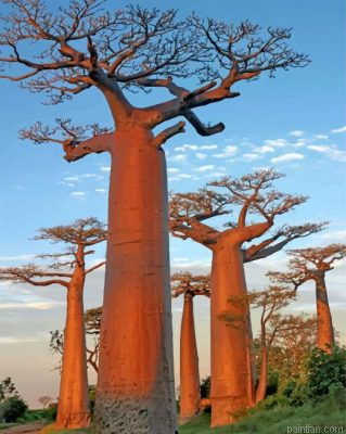 Baobab Trees Paint By Number.png