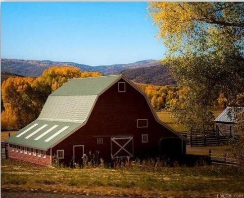 Barn Farm Paint By Numbers.png