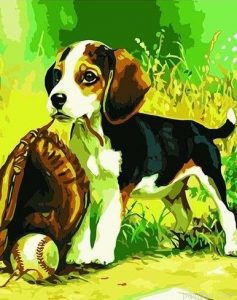 Baseball Dog Paint By Numbers.png