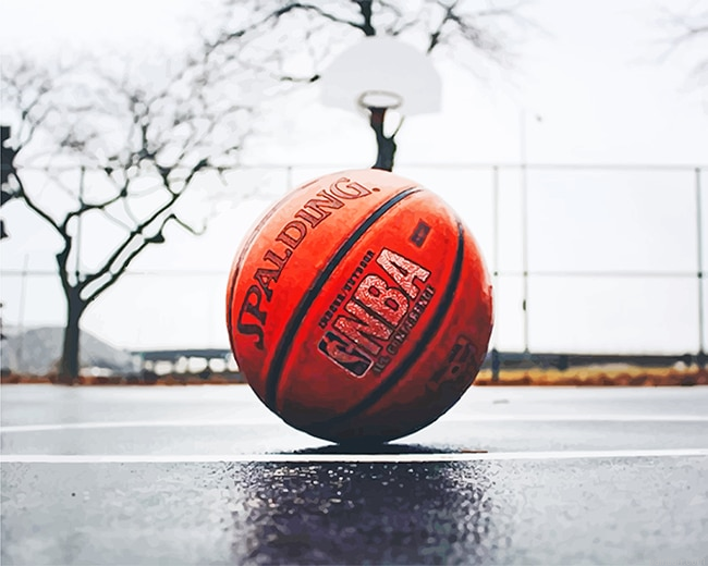 Basket Ball New Paint By Number.png