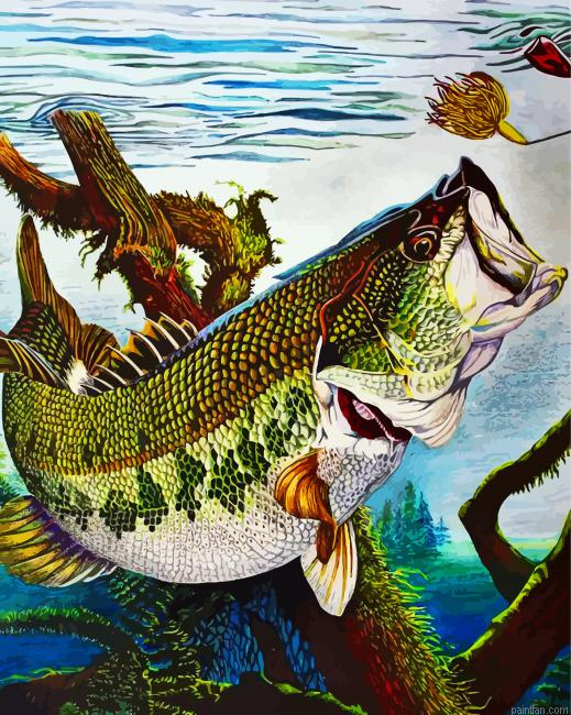 Bass Fish Underwater Paint By Number.png
