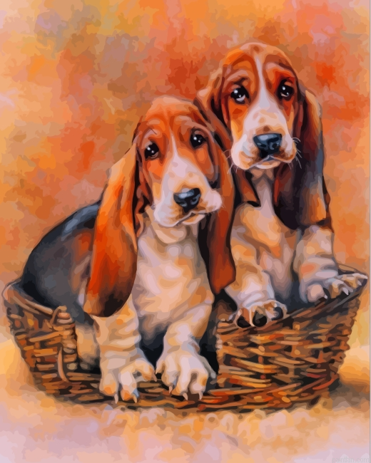 Basset Hound Dogs Paint By Number.png