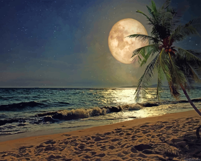 Beach Moonlight Paint By Numbers.png