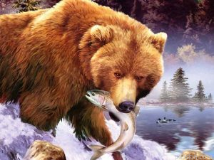 Bear Fishing Paint By Numbers.png