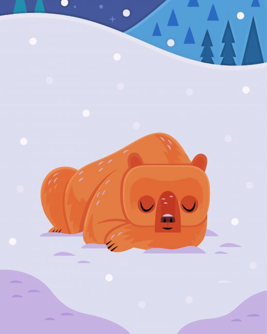 Bear In Snow Paint By Numbers.png