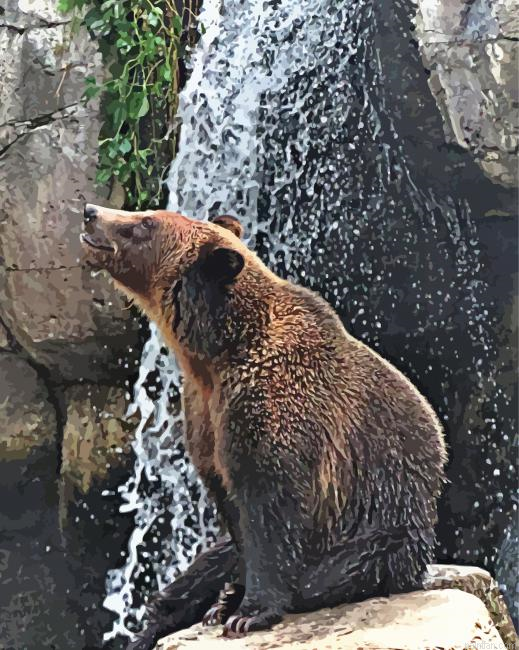 Bear In Waterfall Paint By Numbers.png