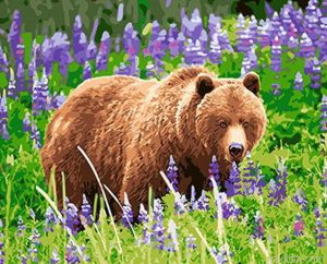 Bear Lavender Field Paint By Numbers.png