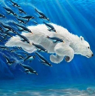 Bear Swimming Paint By Numbers.png