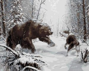 Bear Vs Wolf Paint By Numbers.png