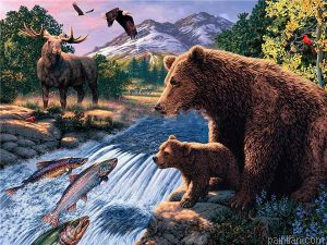 Bear Wildlife Paint By Numbers.png