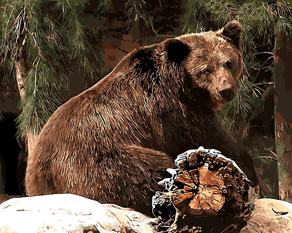 Bear In Forest Paint By Numbers.png