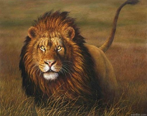 Beast Lion Paint By Numbers.png