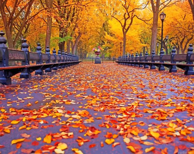 Beautiful Autumn Leaves New Paint By Numbers.png
