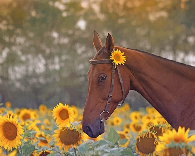 Beautiful Brown Horse New Paint By Numbers.png