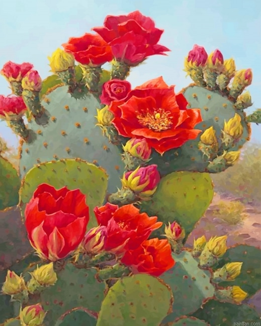 Beautiful Cactus Red Flowers New Paint By Numbers.png