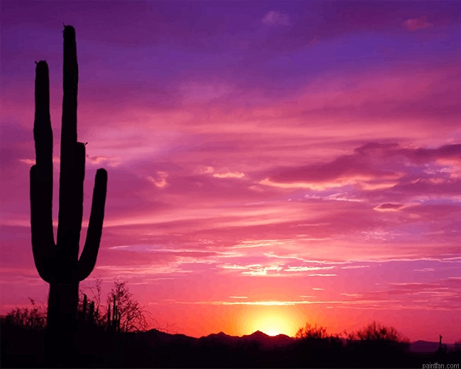 Beautiful Cactus Sunset New Paint By Numbers.png