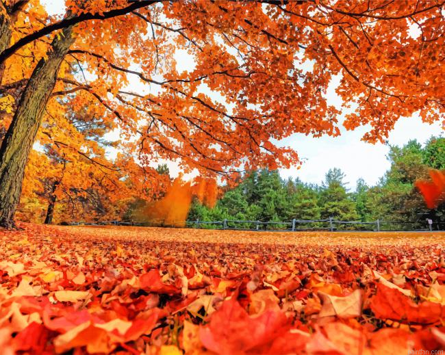 Beautiful Fall Leaves New Paint By Numbers.png